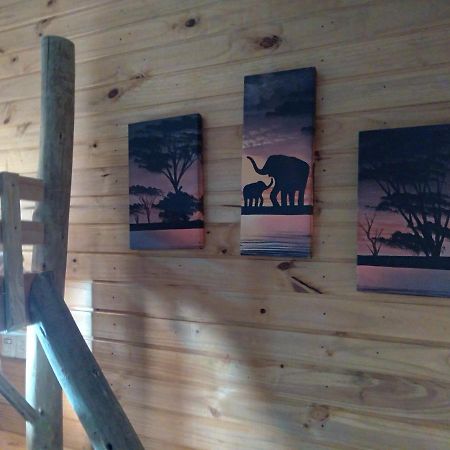 Hostel Cape Town - Cambará Ngoại thất bức ảnh