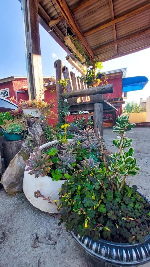 Hostel Cape Town - Cambará Ngoại thất bức ảnh