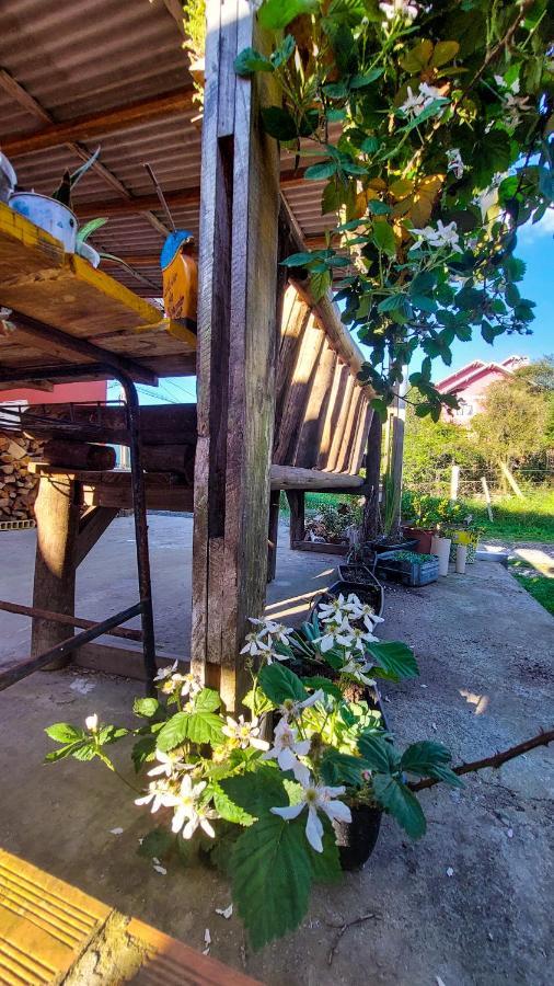 Hostel Cape Town - Cambará Ngoại thất bức ảnh