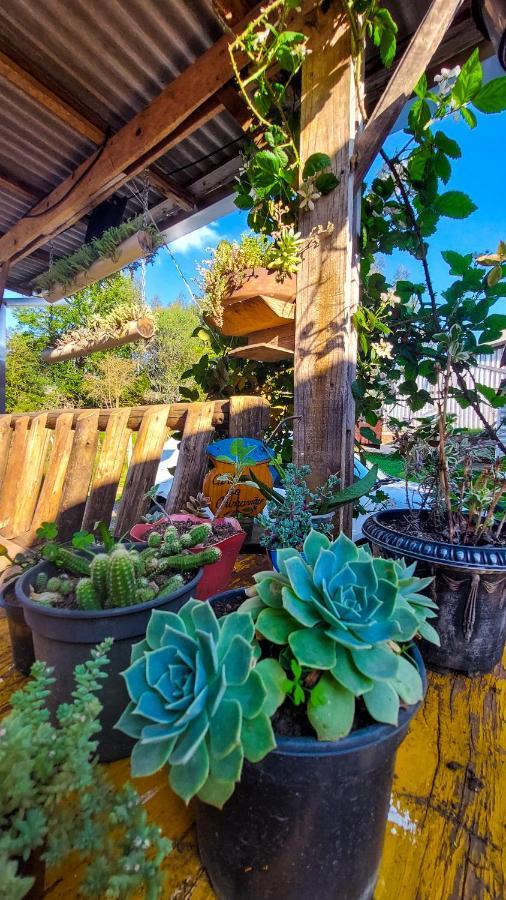 Hostel Cape Town - Cambará Ngoại thất bức ảnh