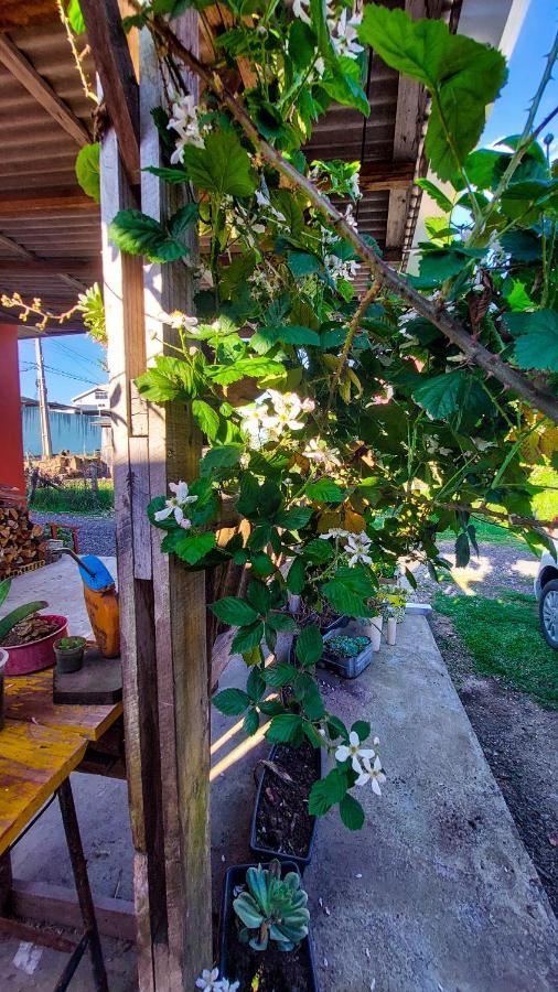 Hostel Cape Town - Cambará Ngoại thất bức ảnh